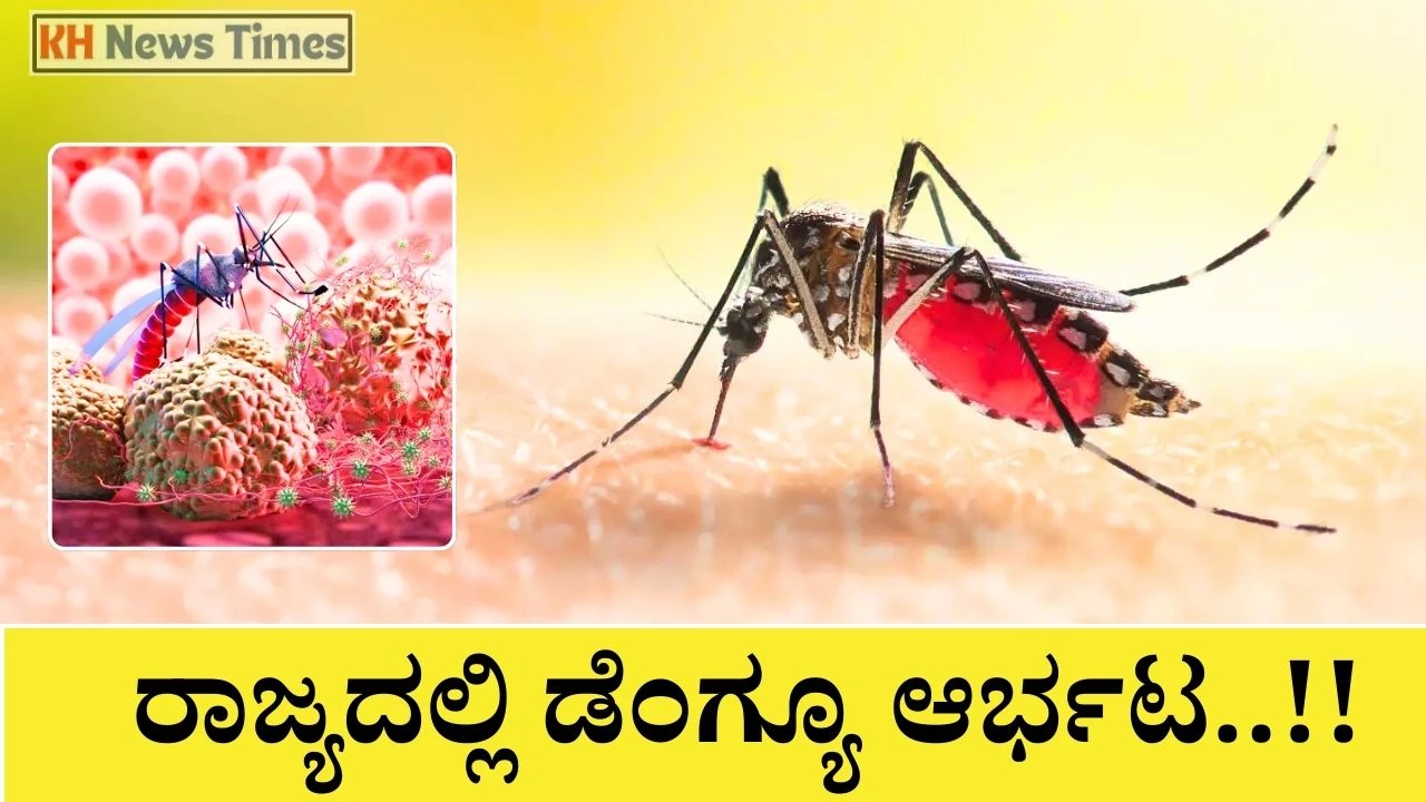 Karnataka Dengue Fever